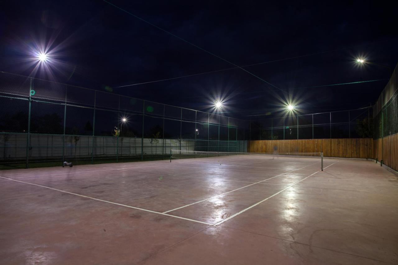Vila Dumitrana Kültér fotó
